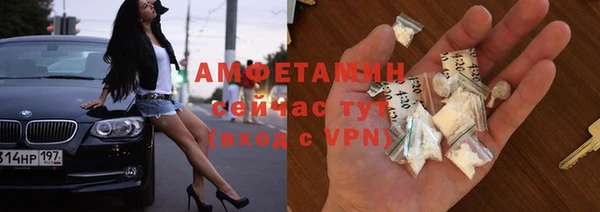 прущие грибы Россошь