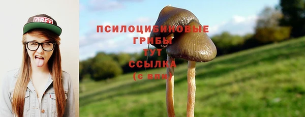 прущий лед Верхний Тагил