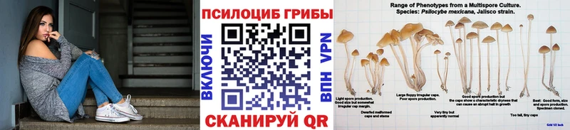 Псилоцибиновые грибы мухоморы  закладки  Рузаевка 